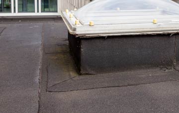 disadvantages of Aberdyfi flat roofs