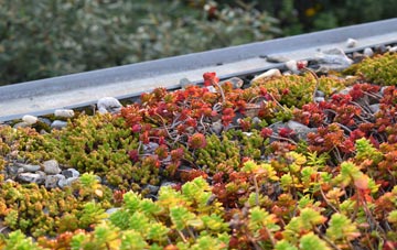 the cost of Aberdyfi green roof installation