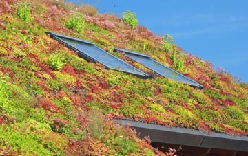 Aberdyfi living roof systems