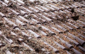 Aberdyfi roof cleaning companies