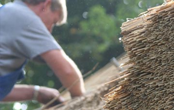 professional Aberdyfi thatchers