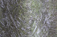 Aberdyfi fibreglass roof work